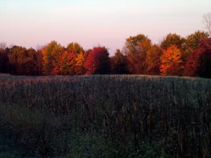 Columbia Autumn Columbia Autumn