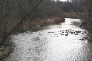 Cold Mill Stream