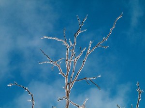 Icy Fingers Icy Fingers