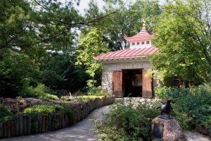 Memorial to Martha & Inca