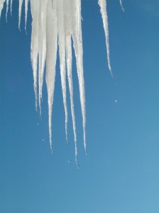 Icicles on "Thawsday"