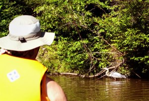 Herself and the Heron