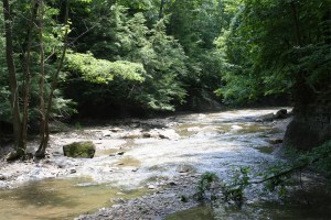 Brandywine Creek