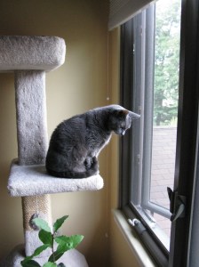 PowerShot Trial Photo