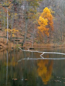 Reflection of Autumn