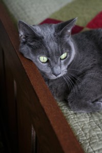 Tasha's Winter Tasha's Winter