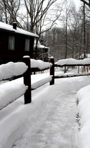 Snowy Sidewalk