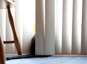 Actually Good to See Actually Good to See