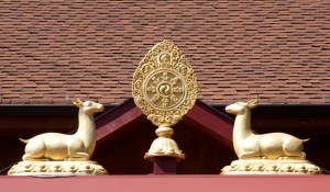 Palyul Entry
