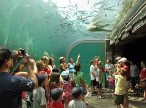 Polar Bear Butt #0061