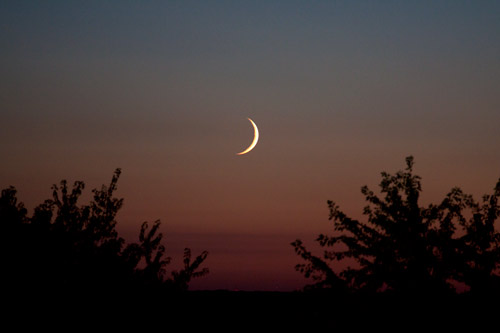 Photo: Earth's Moon sinks into the sunset. Photo by James Guilford