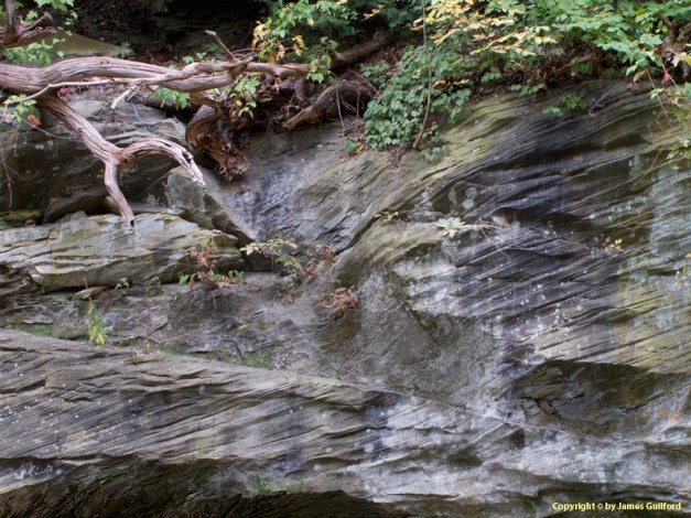 Photo: Rock wall along Chippewa Creek. Photo by James Guilford.