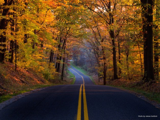 Photo: Colorful autumn trees by light of setting sun. Photo by James Guilford.