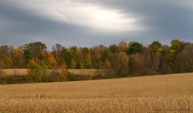 Photo: A brooding sky over a rural autumn scene in Medina County, Ohio. Photo by James Guilford.