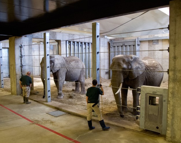 Photo: Elephants with keepers at Cleveland Metroparks Zoo. Photo by James Guilford