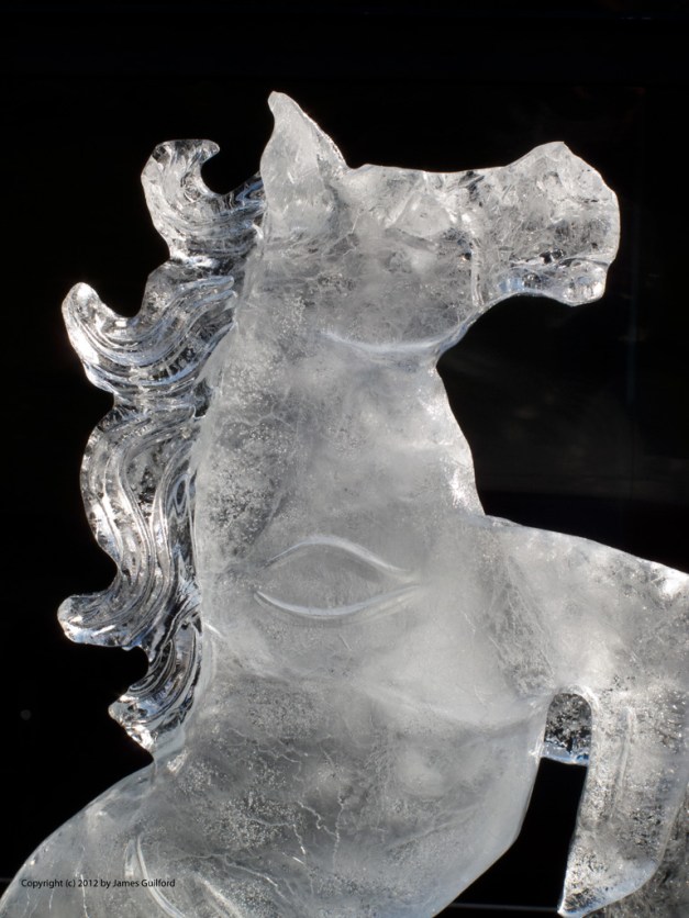 Photo: Ice carving of a rearing horse. Photo by James Guilford.