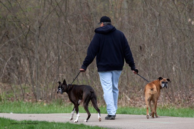 No Pictures #7165 Photo: Man with two dogs. Photo by James Guilford