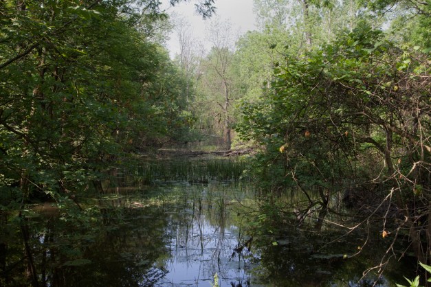 Photo: Abandoned section of canal, claimed by nature. Photo by James Guilford.