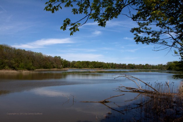 Photo: Old Woman Creek Estuary. Photo by James Guilford.