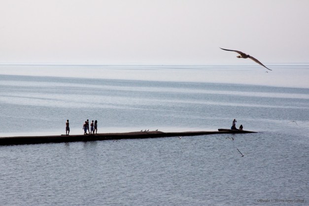 Photo: Teenagers walking on breakwall scare seagulls into flight. Photo by James Guilford.