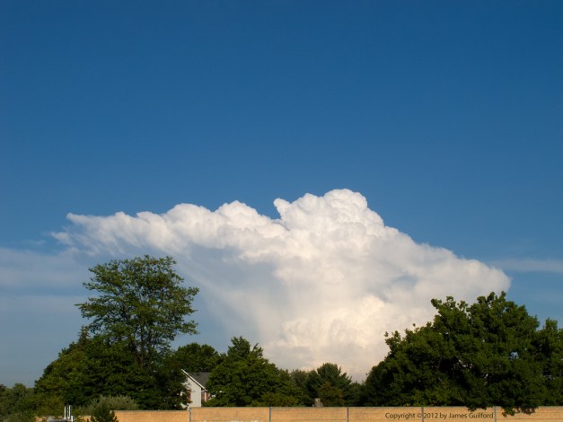 Photo: Cumulus cloud over trees. Photo by James Guilford.