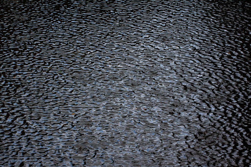 Photo: Small waves and ripples on river. Photo by James Guilford