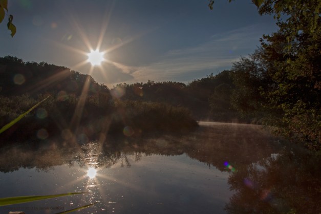 Photo: Sunrise reflected in still waters with lens flares all around. Photo by James Guilford.