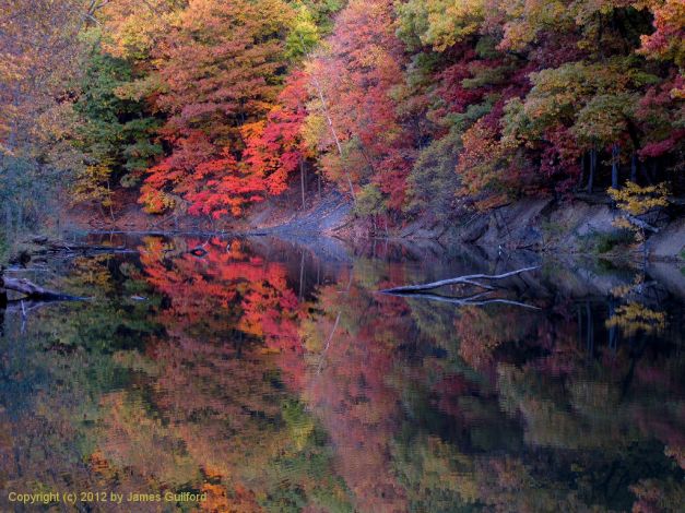 Photo: Colorful autumn trees reflected in still water. Photo by James Guilford.