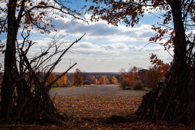 Photo: rural scene in autumn. Photo by James Guilford.