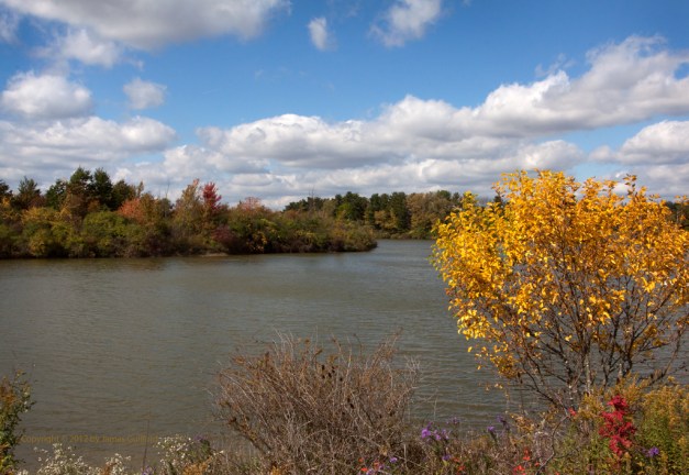 Photo: Autumn foliage with lake. Photo by James Guilford.