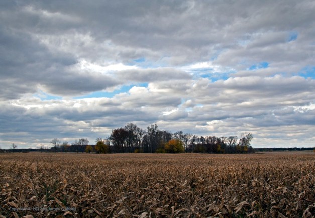 Photo: Dramatic clouds dominate farm landscape. Photo by James Guilford.