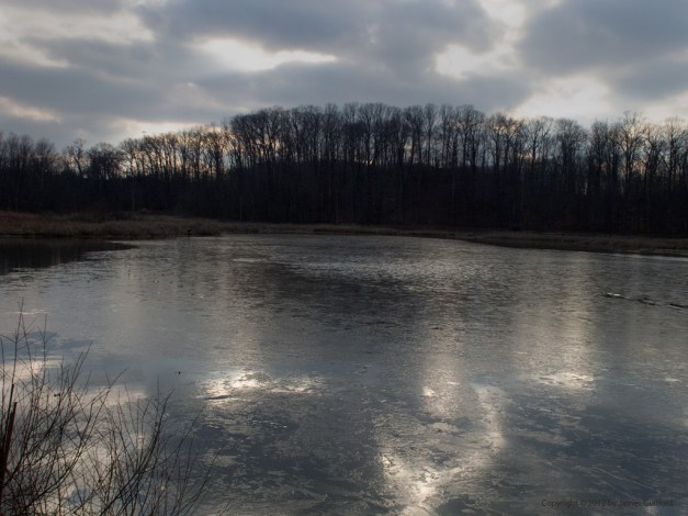 Photo: Thin ice forming on pond. Photo by James Guilford.