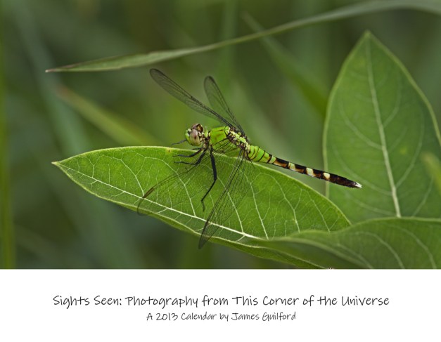 Photo: Cover of Calendar