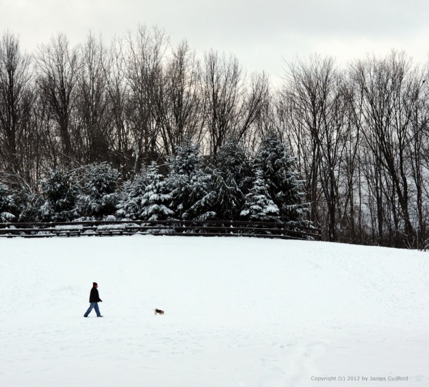 Photo: Man walking his dog in fresh snow. Photo by James Guilford.