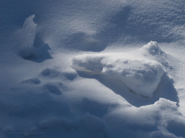Photo: Bright spots in the shadows illuminate snow formations. Photo by James Guilford.