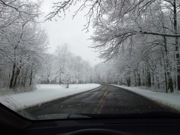 Photo: Dark road surrounded by snow-covered trees. Photo by James Guilford.