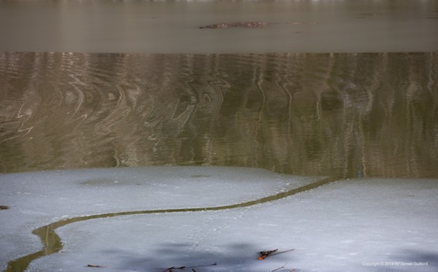 Photo: Animal-made swimming channel connects shore with open water through thin, snow-covered ice. Photo by James Guilford.