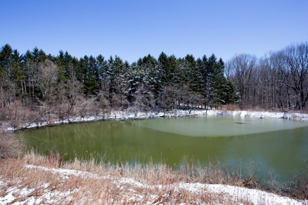 Photo: Pond at Summit MetroParks' Nature Realm. Photo by James Guilford.