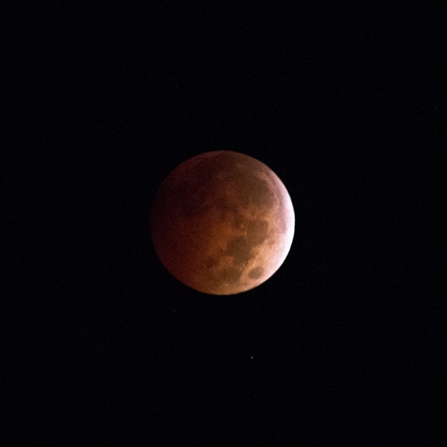 Photo: Total Lunar Eclipse - October 8, 2014. Photo by James Guilford