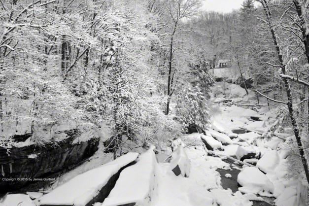 Photo: Snow on Groundhog Day. Photo by James Guilford.
