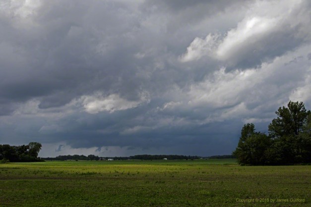 Photo: Green bean field with storm clouds overhead. Photo by James Guilford.