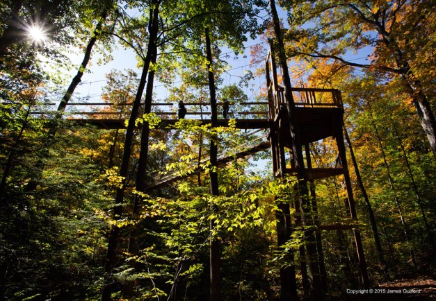 Photo: Corner Support: Murch Canopy Walk. Photo by James Guilford.