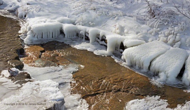 Photo: Ice coats and drips down from a fallen tree branch as water flows over exposed rock. Photo by James Guilford.