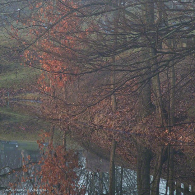 Photo: Left-over autumn leaves, green grass, trees reflect in still waters. Photo by James Guilford.