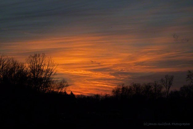 Photo: Cirrus clouds glow orange in sunset rays. Photo by James Guilford.