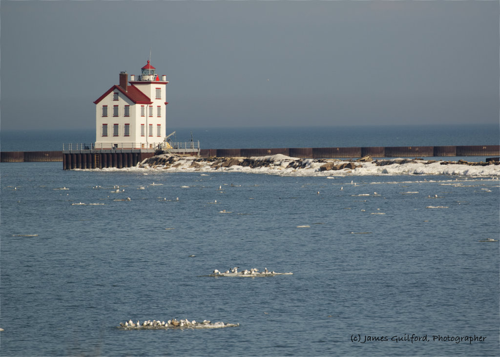 Photo: Gulls sat on nearly every ice floe in Lake Erie, off Lorain, Ohio, as the old lighthouse stood watch. Photo by James Guilford.