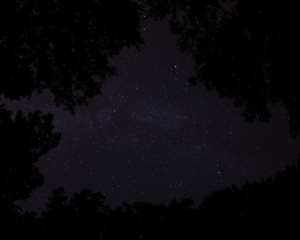 Photo: Looking up from the parking lot: "My god, it's full of stars" is a phrase associated with a scene from the 1968 film "2001: A Space Odyssey" spoken by David Bowman as he entered an alien-created "stargate." Photo by James Guilford.