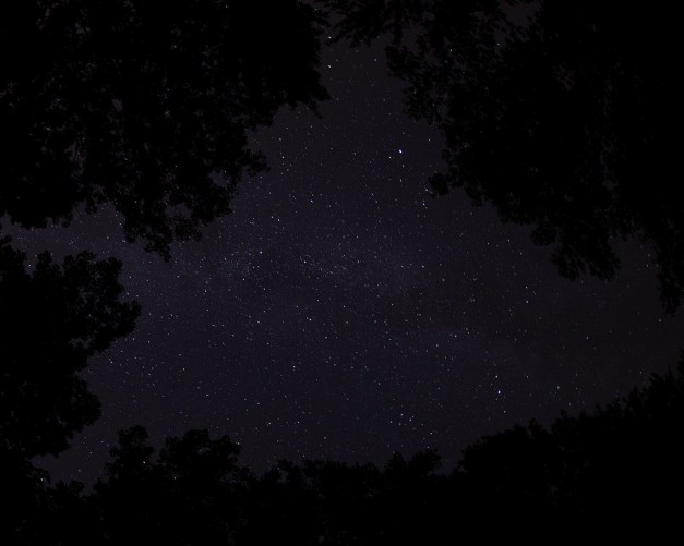 Photo: Looking up from the parking lot: "My god, it's full of stars" is a phrase associated with a scene from the 1968 film "2001: A Space Odyssey" spoken by David Bowman as he entered an alien-created "stargate." Photo by James Guilford.
