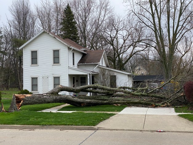 Photo: Downed tree across driveway.