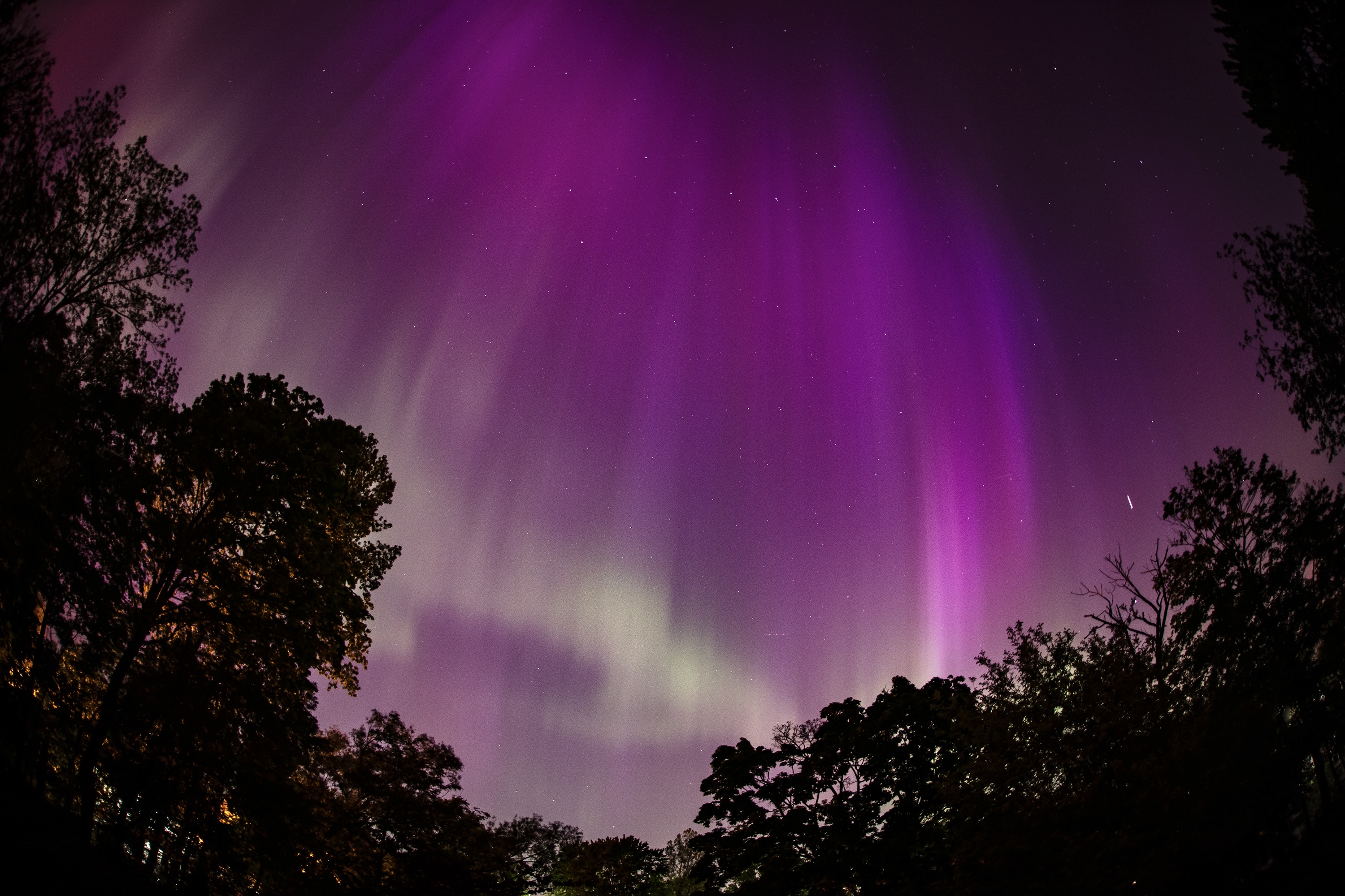 38-kT SOTE ver. AURORA（COLORS：AURORA） img_1979.jpeg